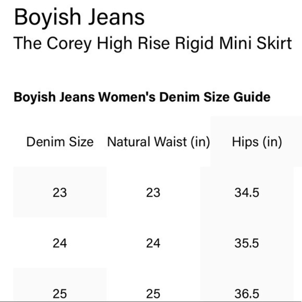 Boyish The Corey High Rise Rigid Mini Skirt - Picture 7 of 7